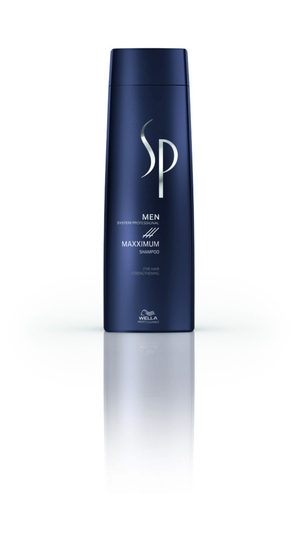 Product Wella System Professional Men